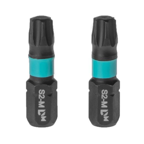 Impact bit Dnipro-M TORX30 25 mm 2 pcs
