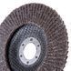 Schleifband Dnipro-M P40 125 mm 5 St./Packung 19651006 фото 3